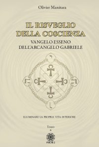 Immagine copertina libro Vangelo esseno dell'arcangelo Michele. Vol. 6: Il risveglio della coscienza