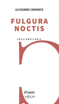 Immagine copertina libro Fulgura noctis