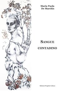 Immagine copertina libro Sangue contadino