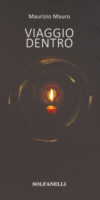 Immagine copertina libro Viaggio dentro