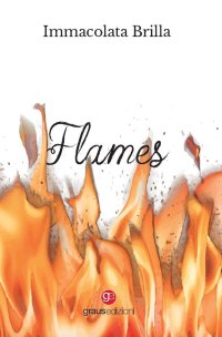 Immagine copertina libro Flames