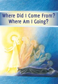 Immagine copertina libro Where did I come from? Where am I going? Life after deatth. The journey of your soul
