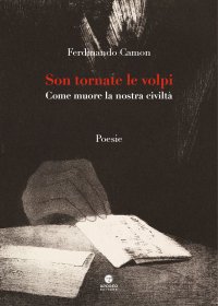 Immagine copertina libro Son tornate le volpi. Come muore la nostra civiltà