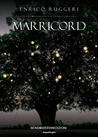 Immagine copertina libro Marricord