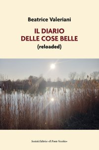 Immagine copertina libro Il diario delle cose belle (reloaded)