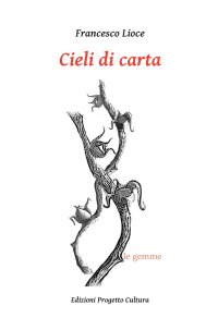 Immagine copertina libro Cieli di carta
