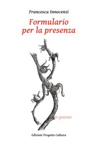 Immagine copertina libro Formulario per la presenza