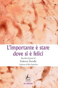 Immagine copertina libro L'importante è stare dove si è felici