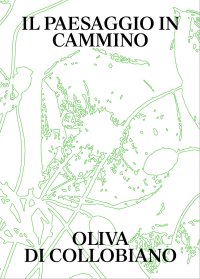 Immagine copertina libro Il paesaggio in cammino