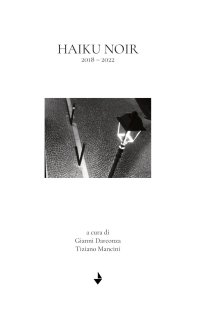 Immagine copertina libro Haiku noir. 2018-2022