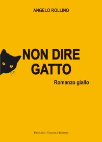 Immagine copertina libro Non dire gatto