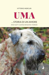 Immagine copertina libro Uma... storia di un amore. Irish Soft Coated Wheaten Terrier
