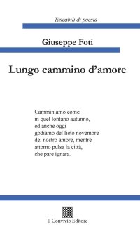 Immagine copertina libro Lungo cammino d'amore