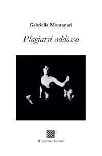 Immagine copertina libro Plagiarsi addosso