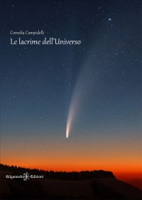 Immagine copertina libro Le lacrime dell’universo
