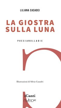 Immagine copertina libro La giostra sulla luna