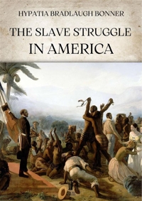 Immagine copertina libro The slave struggle in America