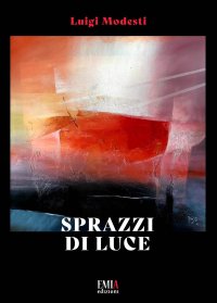 Immagine copertina libro Sprazzi di luce