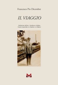 Immagine copertina libro Il viaggio