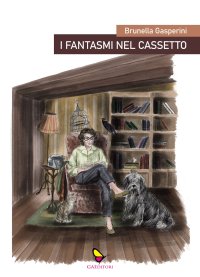 Immagine copertina libro I fantasmi nel cassetto