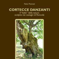 Immagine copertina libro Cortecce danzanti. Il 