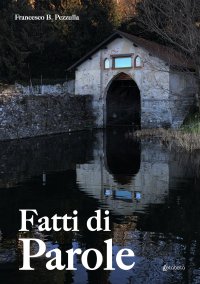 Immagine copertina libro Fatti di parole