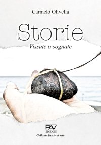 Immagine copertina libro Storie. Vite vissute e sognate