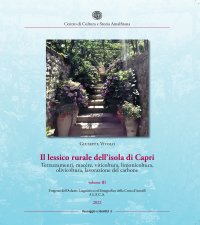 Immagine copertina libro Il lessico rurale della Costiera Amalfitana. Terrazzamenti, macère, viticoltura, limonicoltura, olivicoltura, lavorazione del carbone. Vol. 3