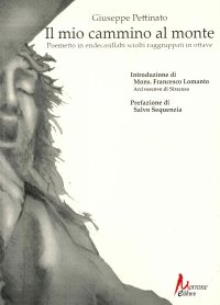Immagine copertina libro Il mio cammino al monte