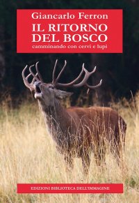 Immagine copertina libro Il ritorno del bosco. Camminando con cervi e lupi