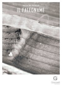 Immagine copertina libro Il falegname