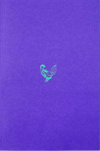 Immagine copertina libro Pietro Roccasalva. Chi è che ride. Ediz. italiana e inglese