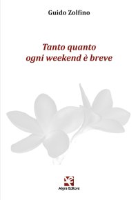 Immagine copertina libro Tanto quanto ogni weekend è breve