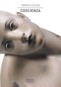 Immagine copertina libro Coscienza