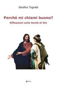 Immagine copertina libro Perché mi chiami buono? Riflessioni sulla bontà di Dio