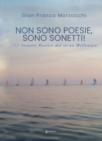 Immagine copertina libro Non sono poesie, sono sonetti!. 352 Sonetti rustici del terzo millennio