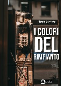 Immagine copertina libro I colori del rimpianto