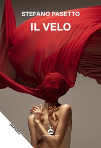 Immagine copertina libro Il velo