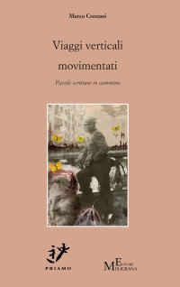 Immagine copertina libro Viaggi verticali movimentati. Piccole scritture in cammino
