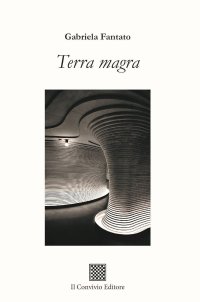 Immagine copertina libro Terra magra