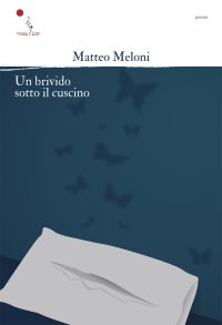 Immagine copertina libro Un brivido sotto il cuscino