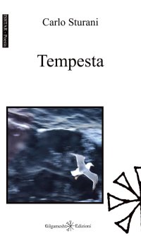 Immagine copertina libro Tempesta