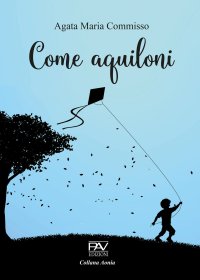 Immagine copertina libro Come aquiloni