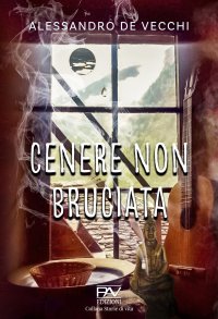 Immagine copertina libro Cenere non bruciata