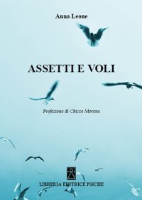 Immagine copertina libro Assetti e voli
