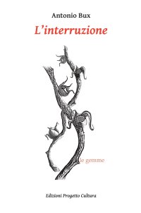 Immagine copertina libro L'interruzione
