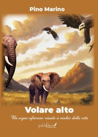 Immagine copertina libro Volare alto. Un sogno africano vissuto a rischio della vita