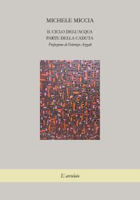 Immagine copertina libro Il ciclo dell'acqua. Parte della caduta