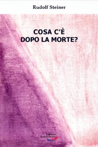 Immagine copertina libro Cosa c'è dopo la morte?