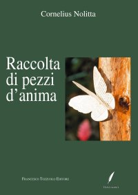 Immagine copertina libro Raccolta di pezzi d'anima